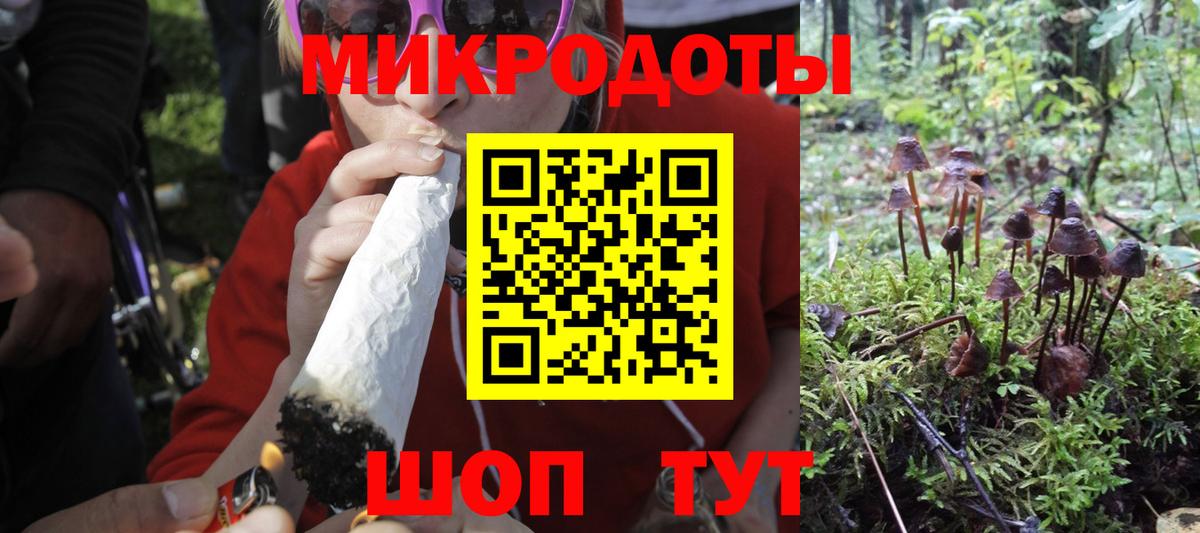 Галлюциногенные грибы GOLDEN TEACHER  Псилоцибиновые грибы GOLDEN TEACHER  Вход с VPN  Кимовск 