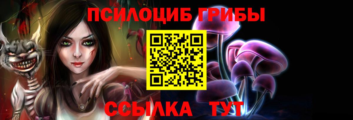 Псилоцибиновые грибы мухоморы Кимовск